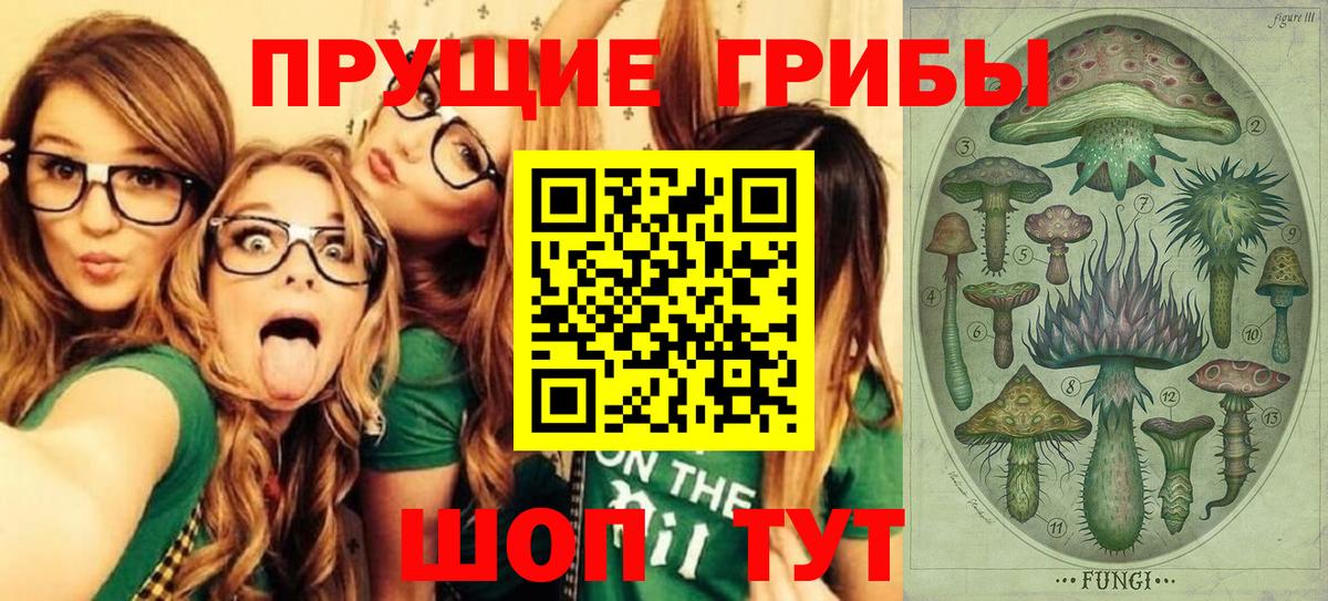 Псилоцибиновые грибы Psilocybe  Вход с VPN  Псилоцибиновые грибы MAGIC MUSHROOMS  Красноармейск 