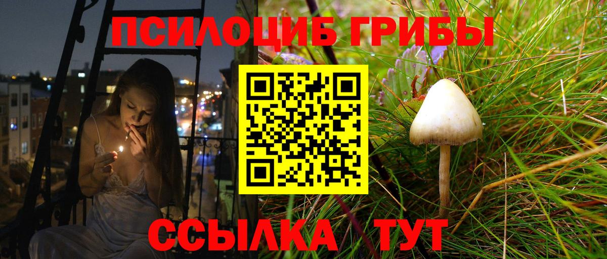 Галлюциногенные грибы MAGIC MUSHROOMS Красноармейск