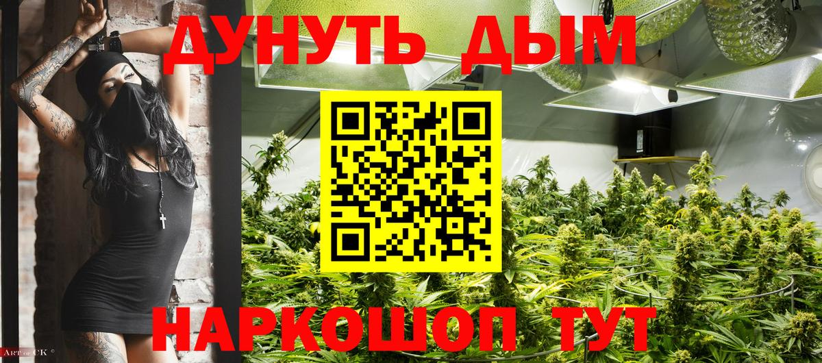 Красноармейск  Бошки марихуана конопля  Конопля Bruce Banner  Вход с VPN  Марихуана семена 